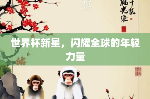 世界杯新星，闪耀全球的年轻眉山市正发家政服务有限公司力量
