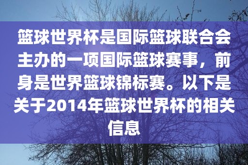 篮球世界杯是国际篮球联合会主办的一项国际篮球赛事，前身是世界篮球锦标赛。以下是关于2014年篮球世界杯的相关信息