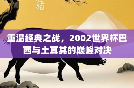 重眉山市正发家政服务有限公司温经典之战，2002世界杯巴西与土耳其的巅峰对决