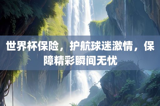 世界杯保险，护航球迷激情，保障精彩瞬间无忧