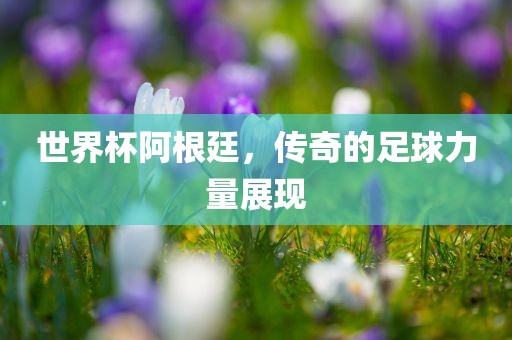 世界杯阿根廷，传奇的足球力量展现