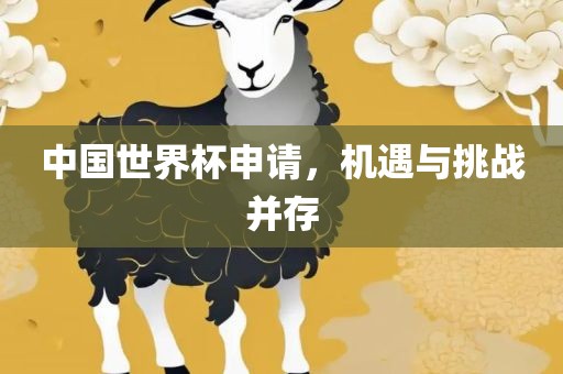 中国世界杯申请，机遇与挑战并存