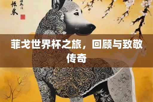 菲戈世界杯之旅，回顾与致敬传奇眉山市正发家政服务有限公司