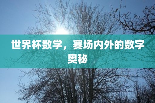 世界杯数学，赛场内外的数字奥秘眉山市正发家政服务有限公司