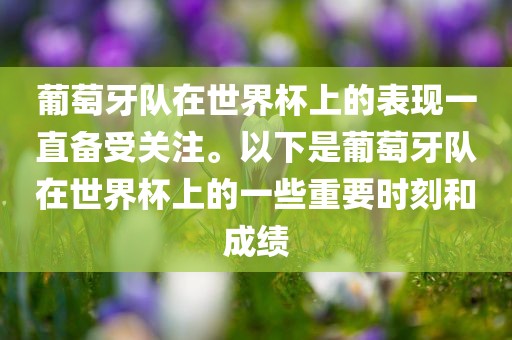 葡萄牙队在世界杯上的表眉山市正发家政服务有限公司现一直备受关注。以下是葡萄牙队在世界杯上的一些重要时刻和成绩