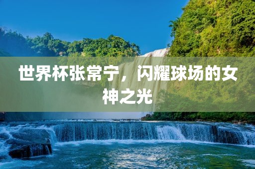 眉山市正发家政服务有限公司世界杯张常宁，闪耀球场的女神之光