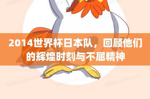 huamei 第8页