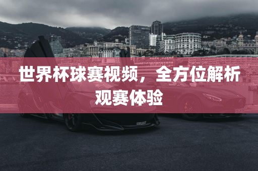 世界杯球赛视频，全方位解析眉山市正发家政服务有限公司观赛体验