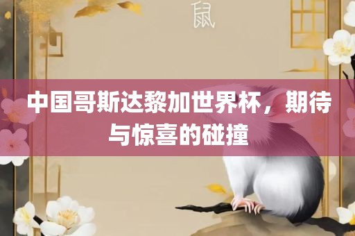 中国哥斯达黎加世界杯，期待与惊喜的碰撞眉山市正发家政服务有限公司