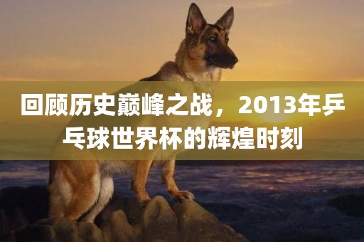 回顾历史巅峰之战，2013年乒乓球世界杯的辉煌时刻