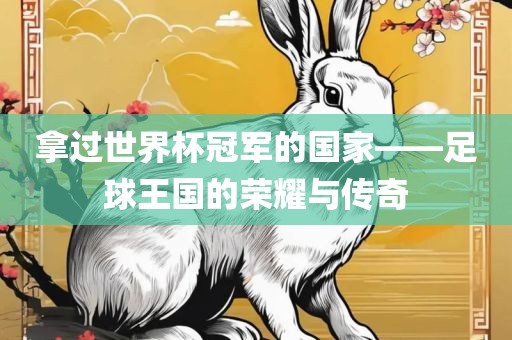 拿过世界杯冠军的国家——足球王国的荣耀与传奇眉山市正发家政服务有限公司