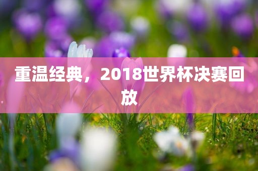 重温经典，2018世界杯决赛回放