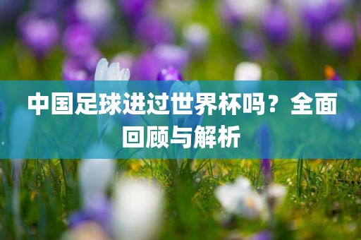 中国足球进过世界杯吗？全面回顾与解析