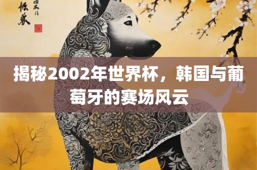 揭秘2002年世界杯，韩国与葡萄牙的赛场风云