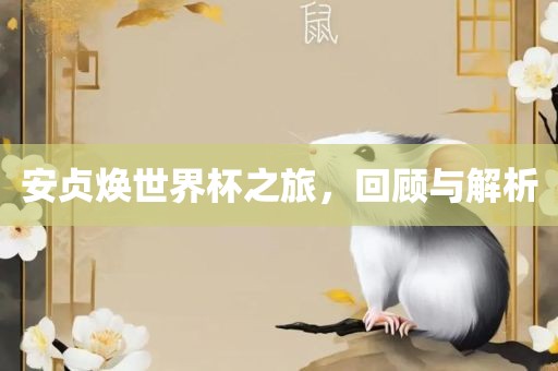 安贞焕世界杯之旅，回顾与解析