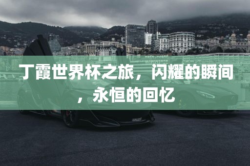 丁霞世界杯之旅，闪耀的瞬间，永眉山市正发家政服务有限公司恒的回忆