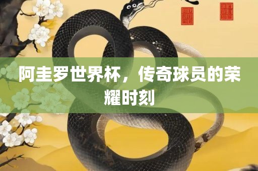 阿圭罗世界杯，传奇球员的荣耀时刻