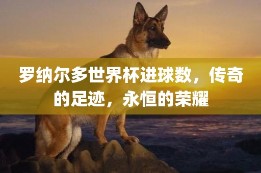罗纳尔多世界杯进球数，传奇的足迹，永恒的荣耀