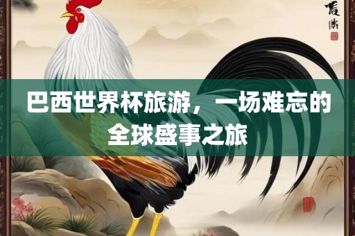 巴西世界杯旅游，一场难忘的全球盛事之旅眉山市正发家政服务有限公司