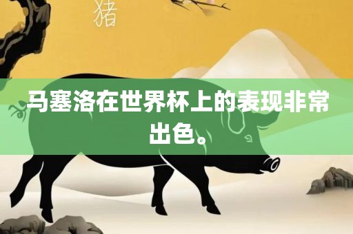 马塞洛在世界杯上的表现非常出色。眉山市正发家政服务有限公司