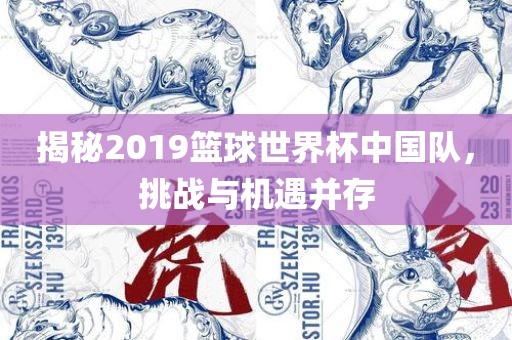 揭秘2019篮球世界杯中国队，挑战与机遇并存眉山市正发家政服务有限公司
