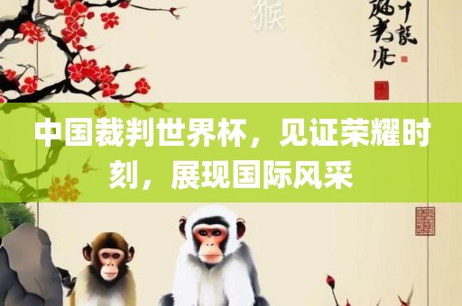 中国裁判世界杯，见证荣耀时刻，展现国际风采眉山市正发家政服务有限公司