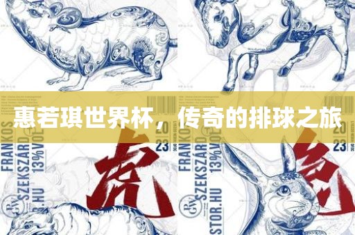 惠若琪世界杯，传奇的排球之旅眉山市正发家政服务有限公司