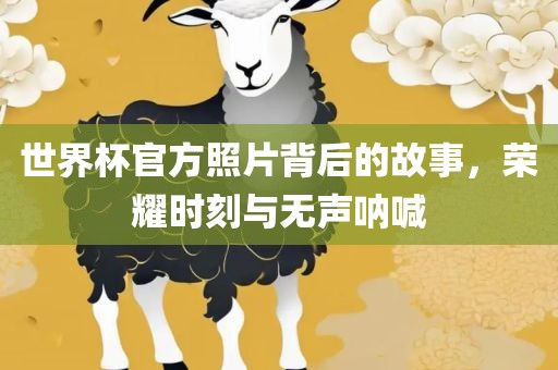 世界杯官方照片背后的故事，荣耀时刻与无声呐喊眉山市正发家政服务有限公司