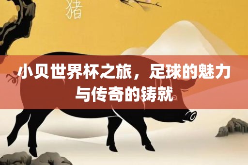 小贝世界杯之旅，足球的魅力眉山市正发家政服务有限公司与传奇的铸就
