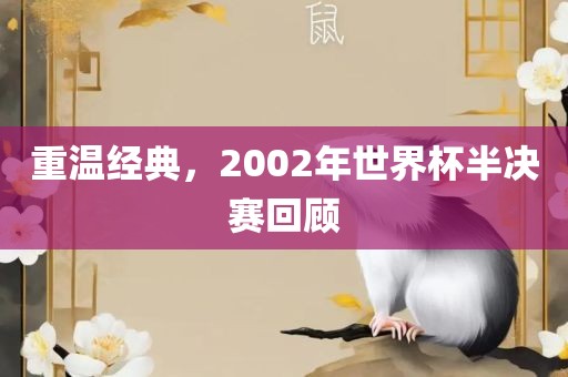 重温经典，2002年世界杯半决赛回顾