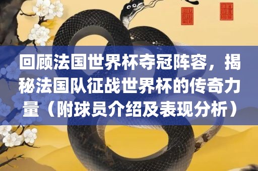 回顾法国世界杯夺冠阵容，揭秘法国队征战世界杯的传奇力量（附球员介绍及表现分析）眉山市正发家政服务有限公司