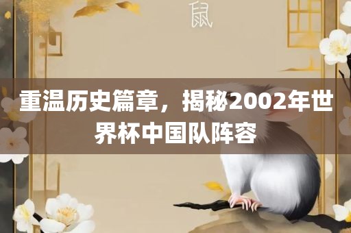 重温历史篇章，揭秘2002年世界杯中国队阵容