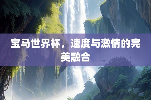 宝马世界杯，速度与激情的完美融合