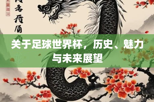 关于足球世界杯，历史、魅力与未来展望