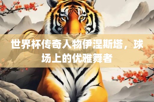 世界杯传奇人物伊涅斯塔，球场上的优雅舞者