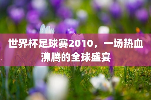世界杯足球赛2010，一场热血沸腾的全球盛宴眉山市正发家政服务有限公司