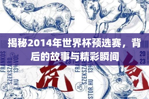 揭秘2014年世界杯预选赛，背后的故事与精彩瞬间