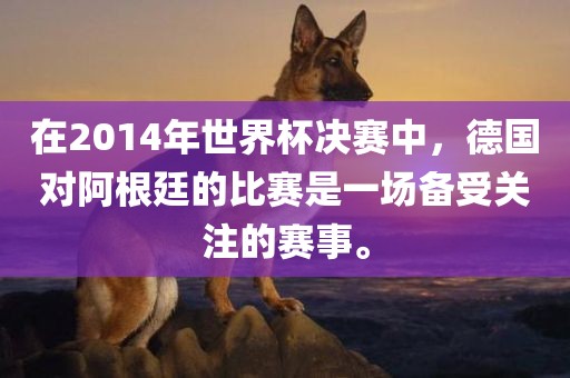 在2014年世界杯决赛中，德国对阿根廷的比赛是一场备受关注的赛事。眉山市正发家政服务有限公司