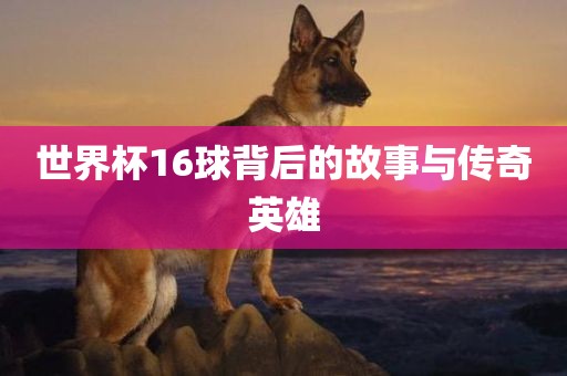 世界杯16球背后的故事与传奇英雄