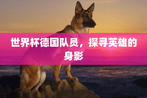世界杯德国队员，探寻英雄的身影眉山市正发家政服务有限公司