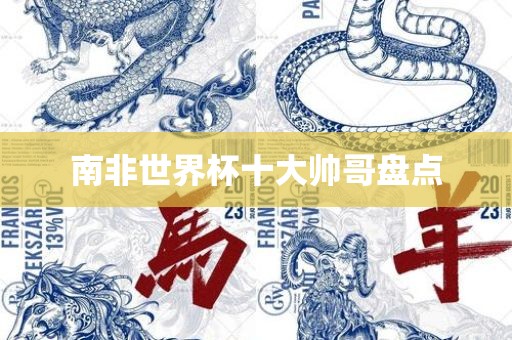 南非世界杯十大帅哥盘眉山市正发家政服务有限公司点