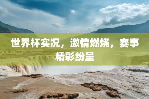 世界杯实况，激情燃烧，赛事精彩纷呈