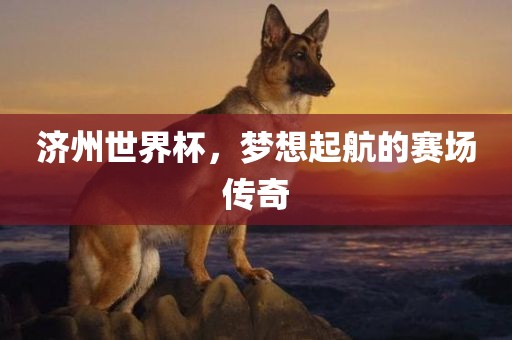 济州世界杯，梦想起航的赛场传奇
