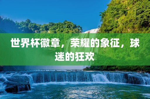 世界杯徽章，荣耀的象征，球迷的狂欢眉山市正发家政服务有限公司