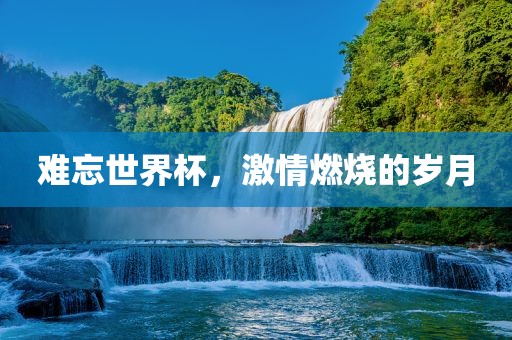 难忘世界杯，激情燃烧的岁月眉山市正发家政服务有限公司