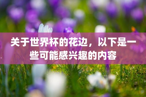 关于世界杯的花边，以下是一些可能感兴趣的内容眉山市正发家政服务有限公司
