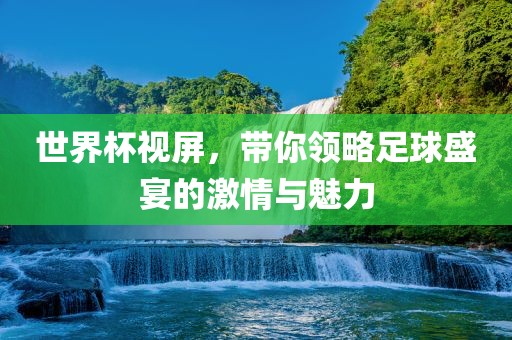 世界杯视屏，带你领略足球盛宴的激情与魅力眉山市正发家政服务有限公司