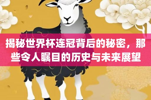 揭秘世界杯连冠背后的秘密，那些令人瞩目的历史与未来展望眉山市正发家政服务有限公司