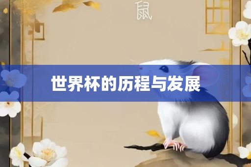 世界杯的历程与发展