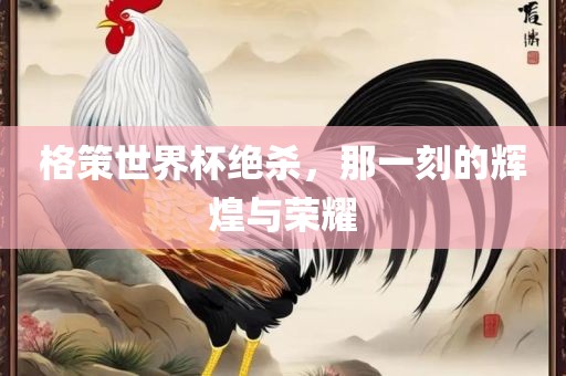 格策世界杯绝杀，那一刻的辉煌与荣耀眉山市正发家政服务有限公司